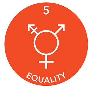 5-equality